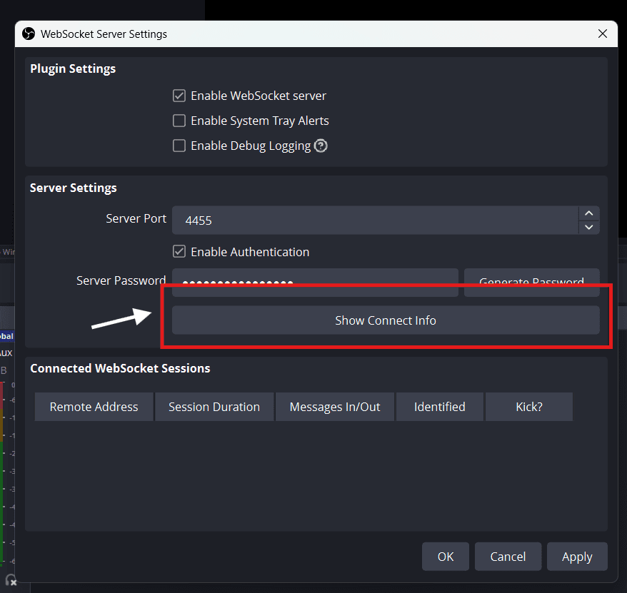 OBS WebSocket settings with the Show Connect Info button highlighted